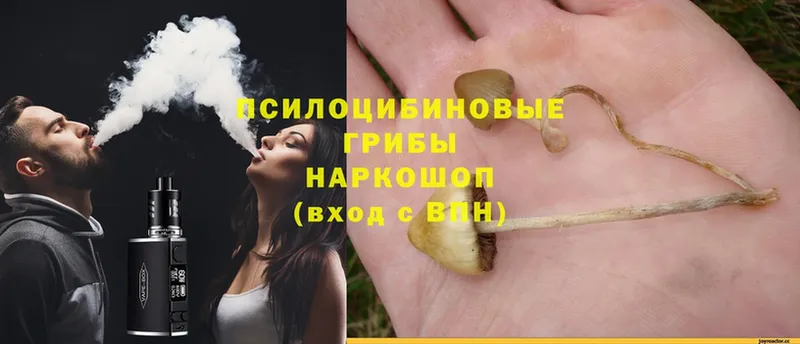 Галлюциногенные грибы GOLDEN TEACHER  купить наркотик  Сосновка 